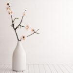 modern Complementary accessories vase
