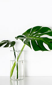 modern glass